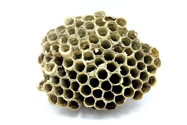 Extracto de propóleo en crema de keramina.